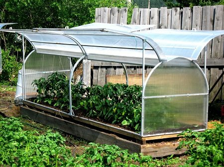 Парник Бабочка идеально подходит для выращивания овощей на дачном участке 