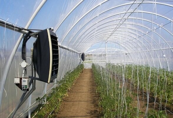 Выращивать растения круглый год в теплице из поликарбоната вам помогут специальные обогреватели 