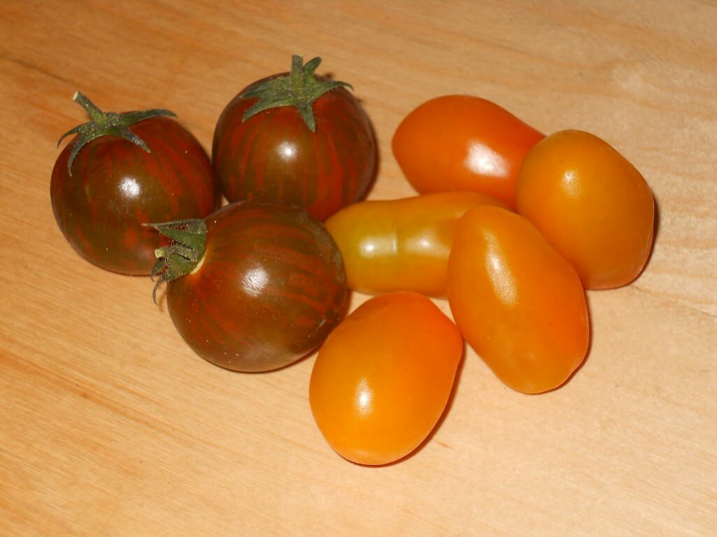 Перед тем как приступать к выращиванию болгарских томатов, сперва следует ознакомиться с их сортами