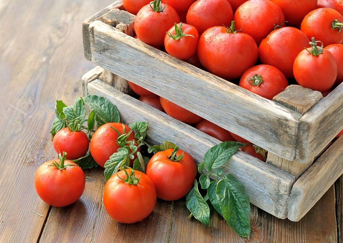 Реализовать урожай помидоров можно как традиционным методом (на базаре), так и через интернет
