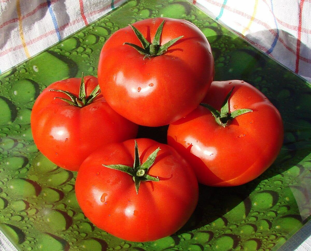 Индетерминантные сорта помидор можно приобрести в любом магазине для овощеводства 