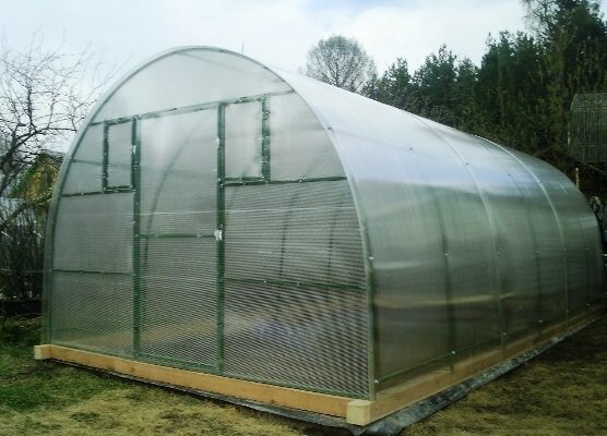 Для выращивания овощей и фруктов на загородном участке можно построить небольшую теплицу из поликарбоната 