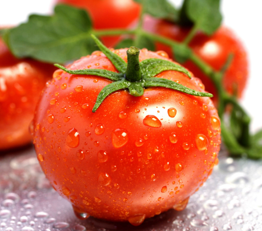 Опрыскивание помидор необходимо для высокой урожайности