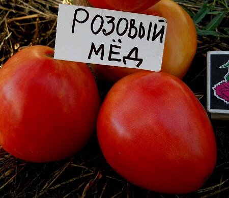 Томат Розовый Мед Фото Урожайность