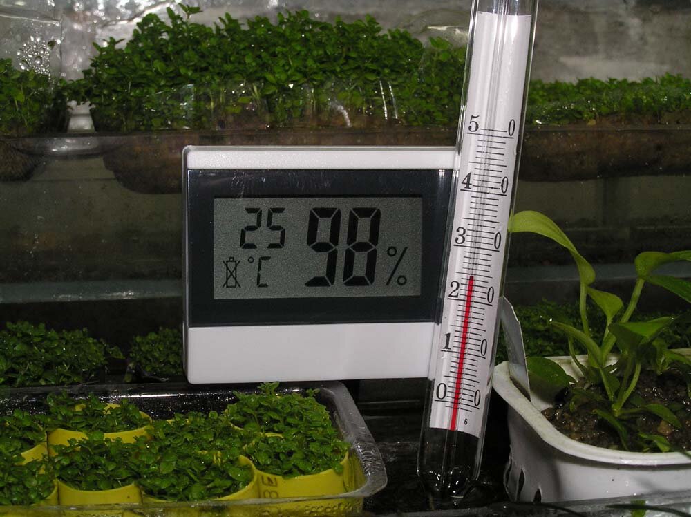 Регулировать температуру в теплице необходимо для того, чтобы вырастить хороший урожай