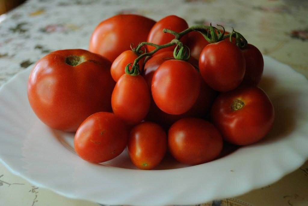 Преимущество болгарских томатов заключается в том, что они полезны для здоровья