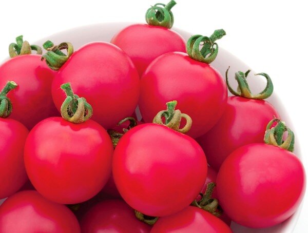Раннеспелый сорт томатов «Инфинити» считается очень качественным