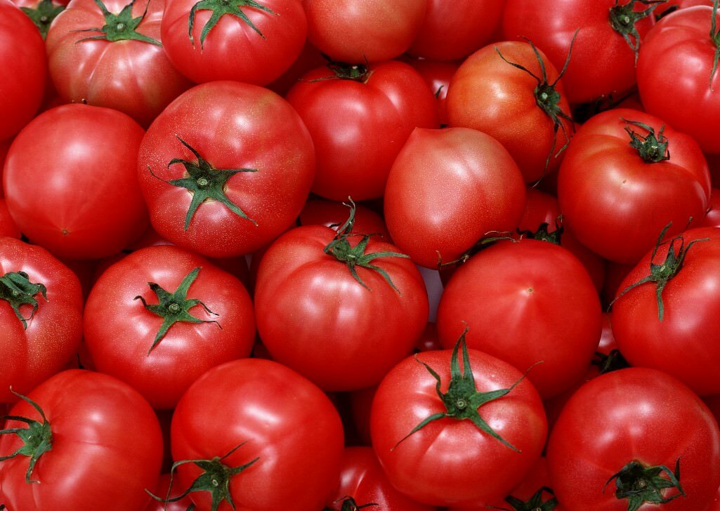 Подбирая сорт томатов для выращивания, следует учитывать и тип теплицы, где они будут высаживаться и расти 